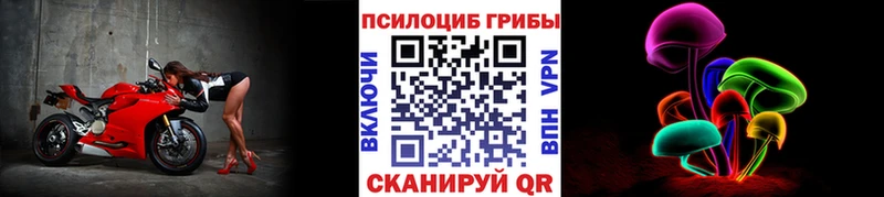Псилоцибиновые грибы GOLDEN TEACHER  Купить где  Владимир 